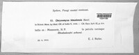 Image Associated With the Occurence